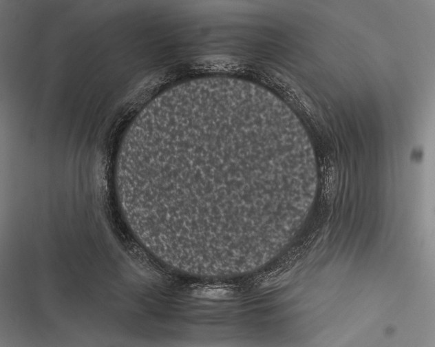 X0000116600643201001081150