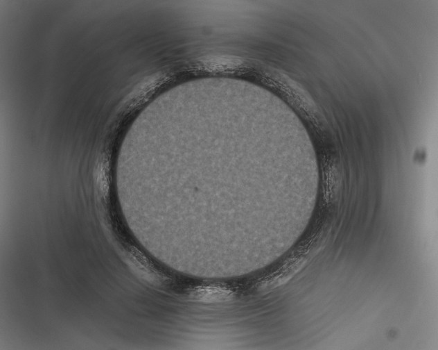 X0000116600644201001081150