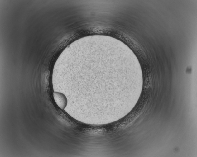 X0000116600646201001081150