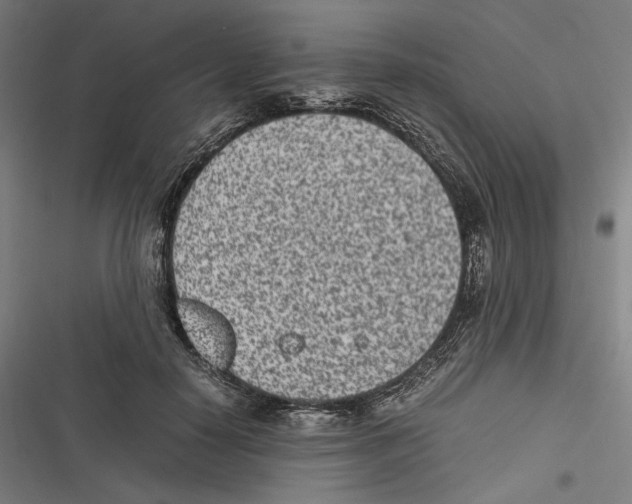 X0000116600650201001081150