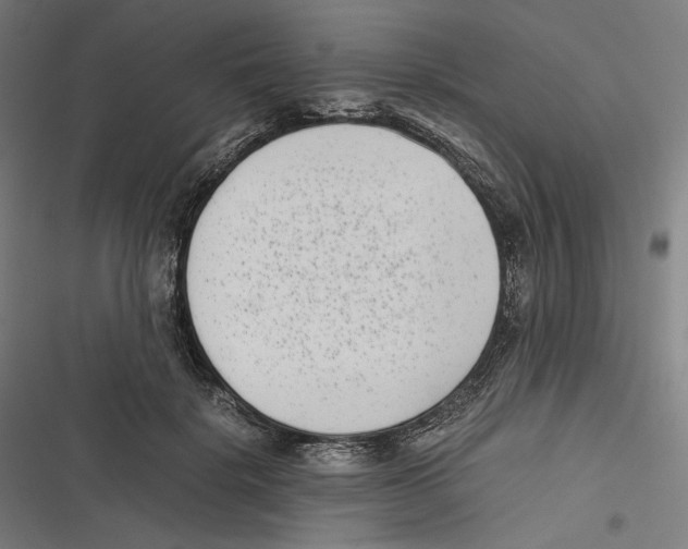 X0000116600652201001081150