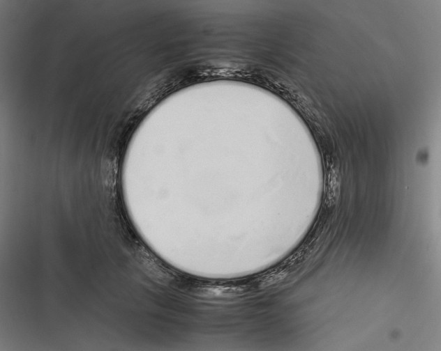 X0000116600657201001081150