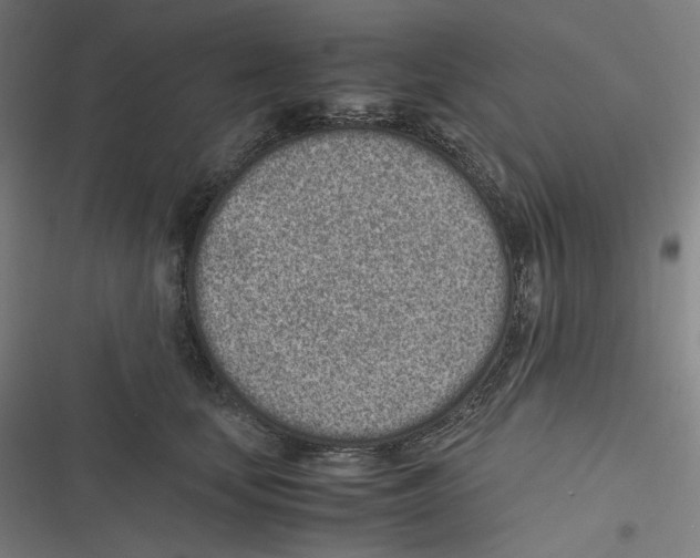 X0000116600659201001081150