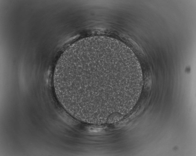 X0000116600661201001081151