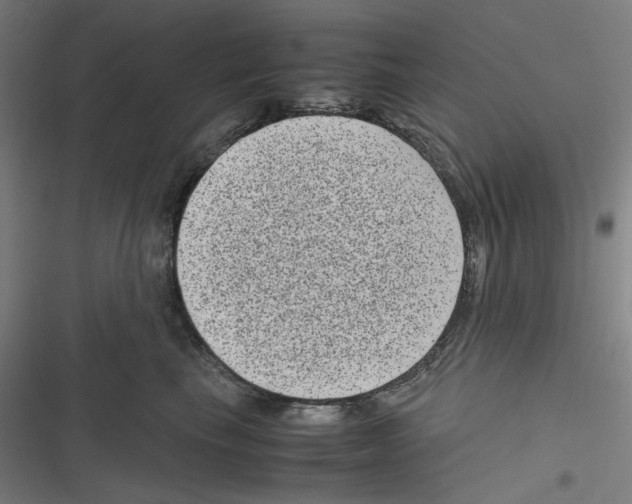 X0000116600665201001081151