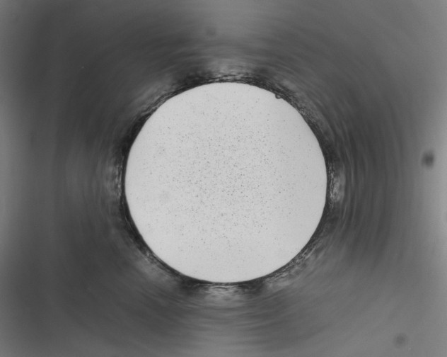 X0000116600666201001081151