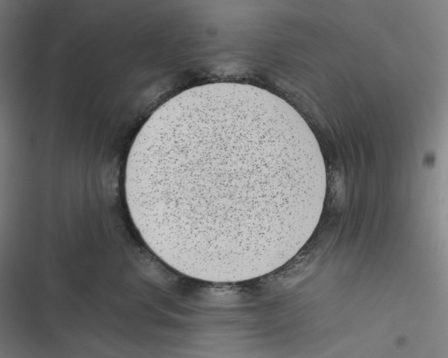 X0000116600668201001081151