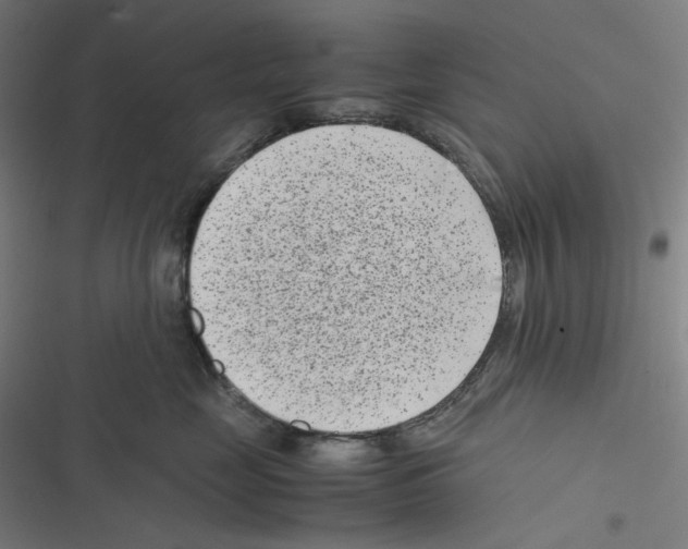 X0000116600669201001081151