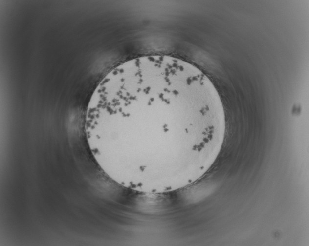 X0000116600672201001081151