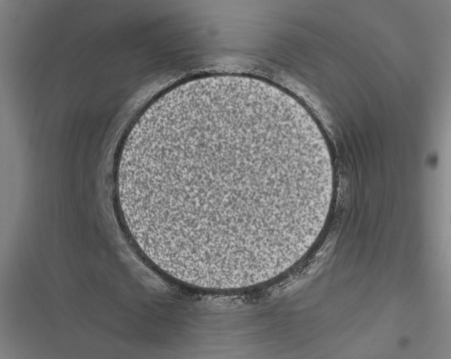 X0000116600673201001081150