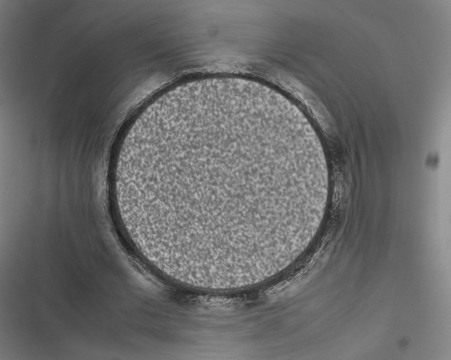 X0000116600677201001081150