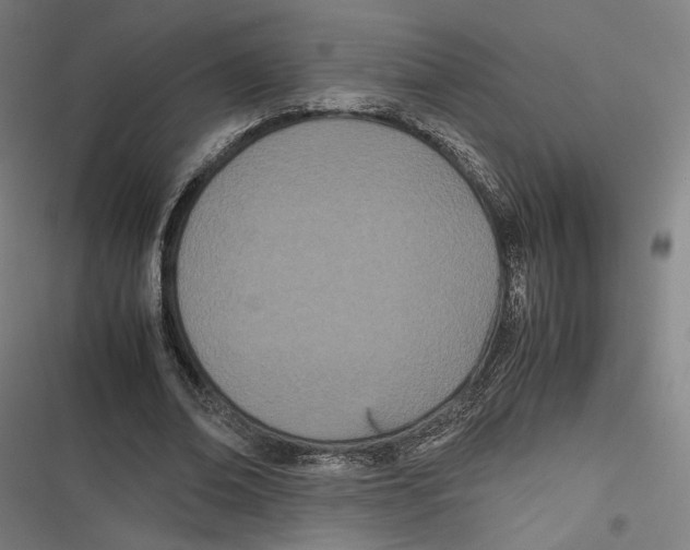 X0000116600678201001081150