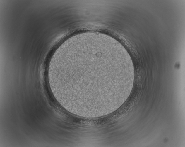 X0000116600679201001081150
