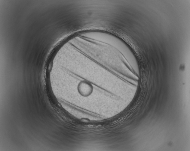 X0000116600680201001081150