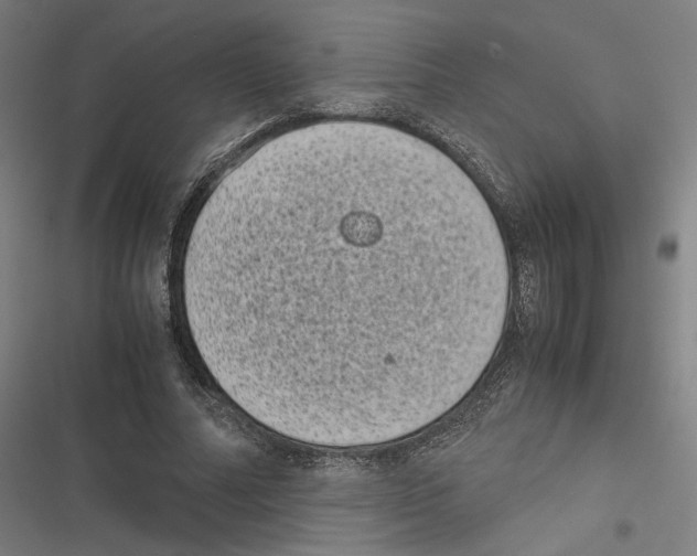 X0000116600682201001081150