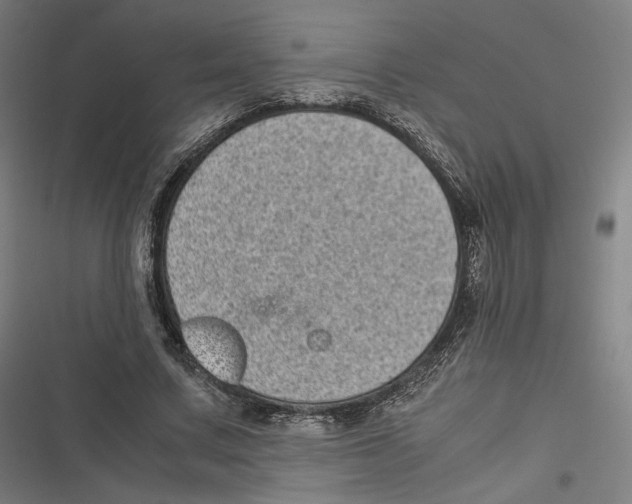 X0000116600683201001081150