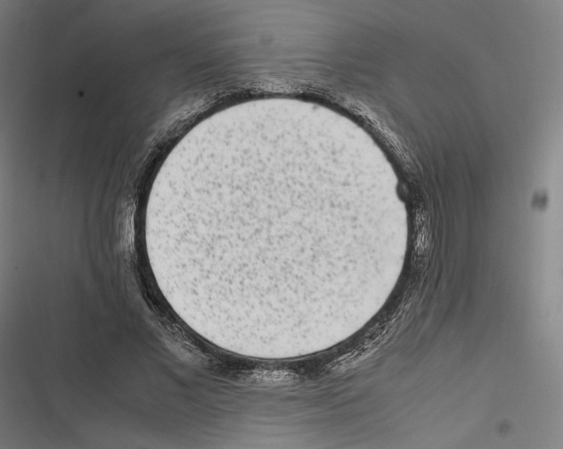 X0000116600685201001081150