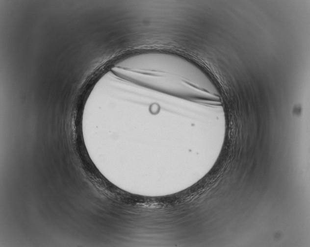 X0000116600688201001081150