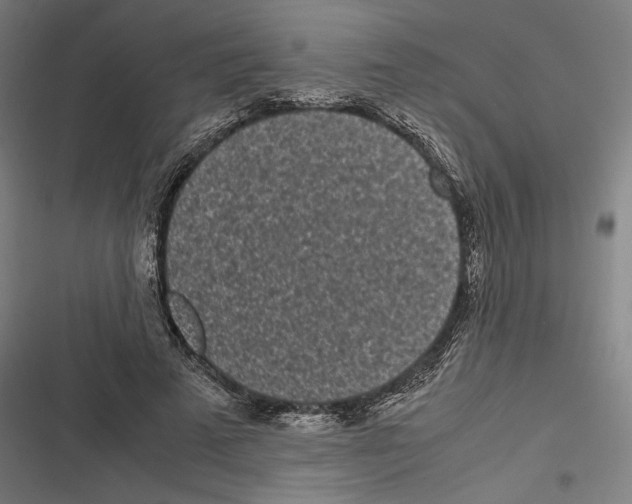 X0000116600689201001081150