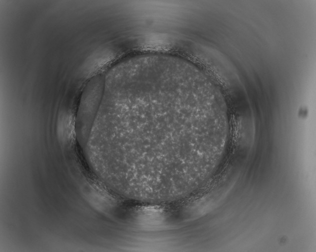 X0000116600692201001081150