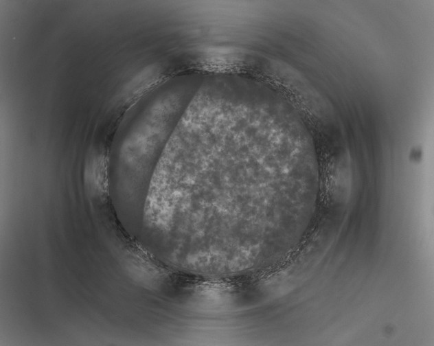 X0000116600696201001081150