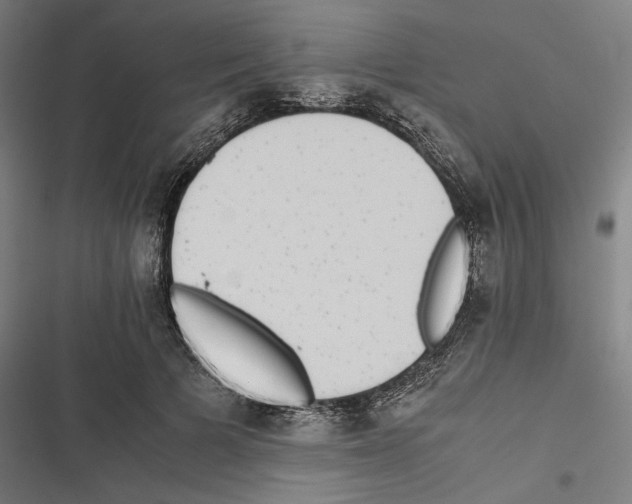X0000116600697201001081150