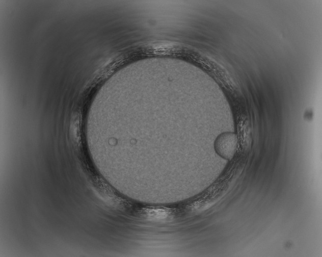 X0000116600698201001081150