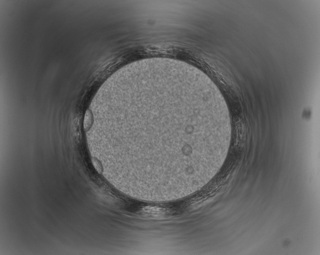 X0000116600699201001081150