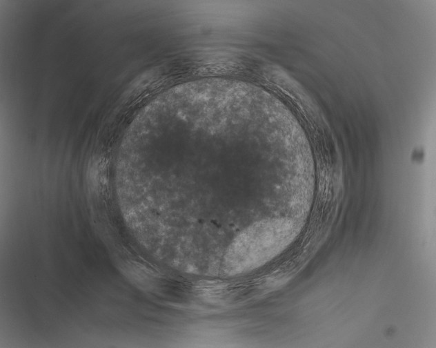 X0000116600701201001081150