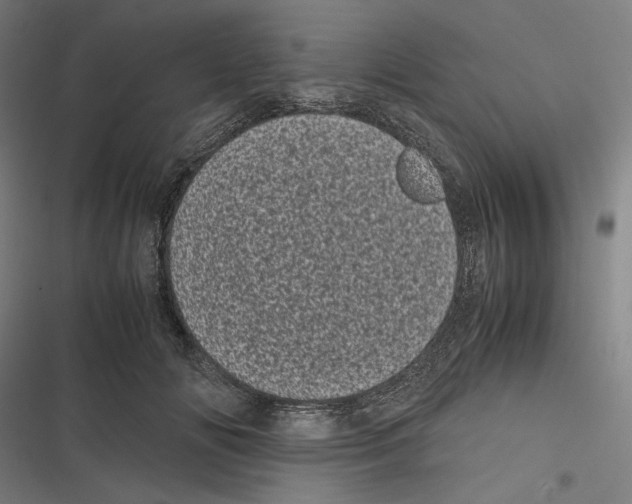 X0000116600702201001081150