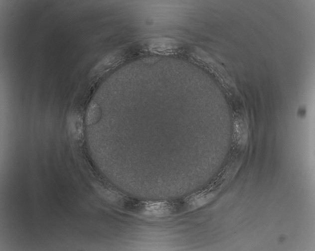 X0000116600705201001081150