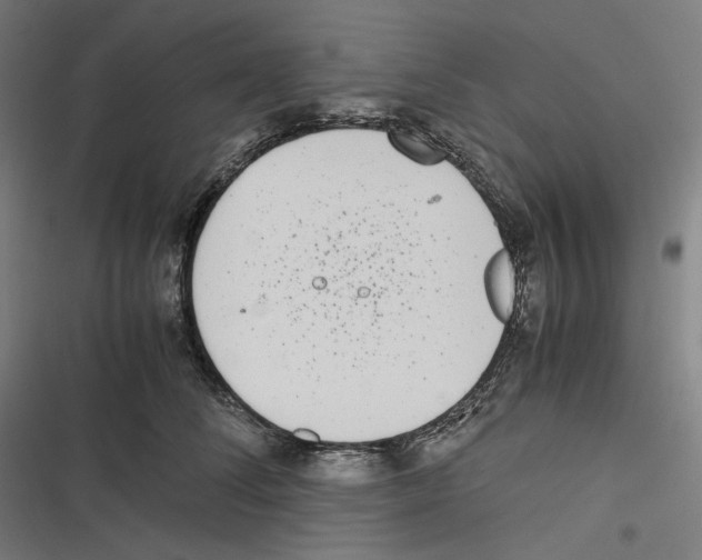 X0000116600708201001081150