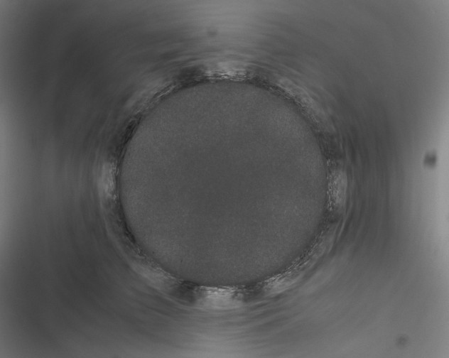 X0000116600709201001081150