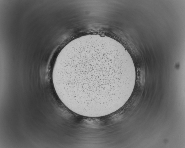X0000116600712201001081149