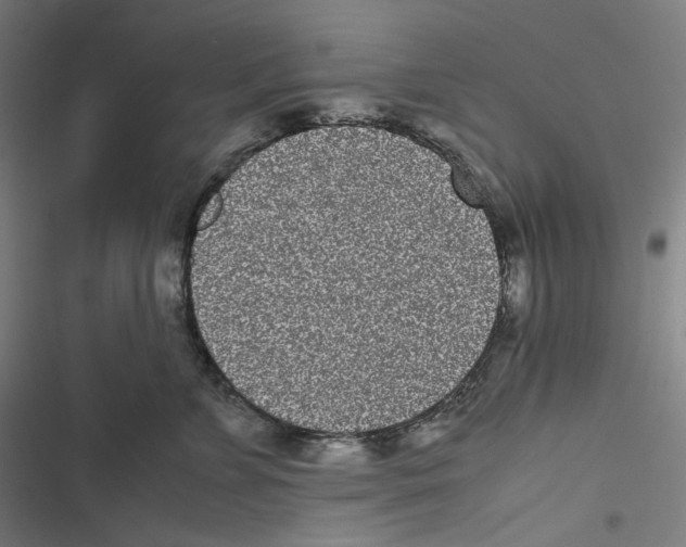 X0000116600715201001081149