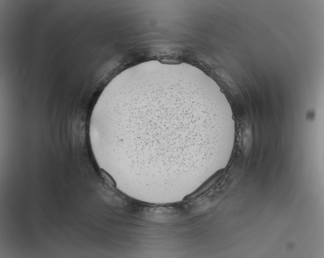 X0000116600716201001081149