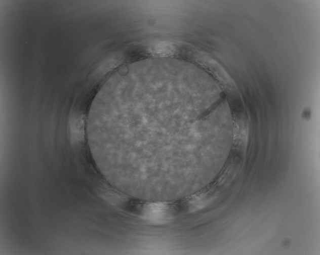 X0000116600717201001081149