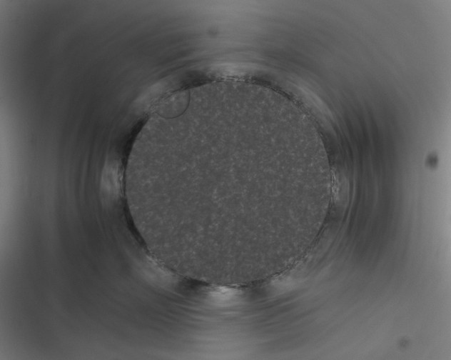 X0000116600718201001081149