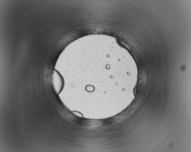 X0000116600719201001081149