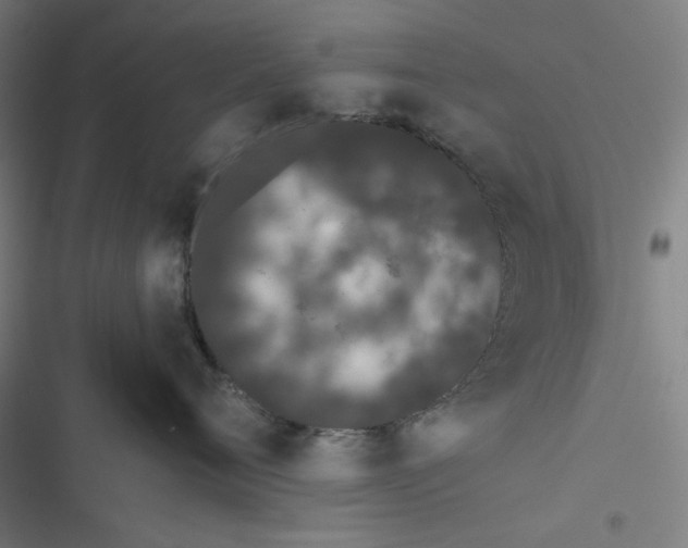 X0000116600720201001081149