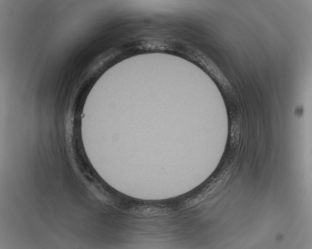 X0000116600722201001081149