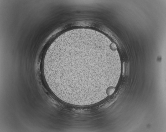 X0000116600723201001081149