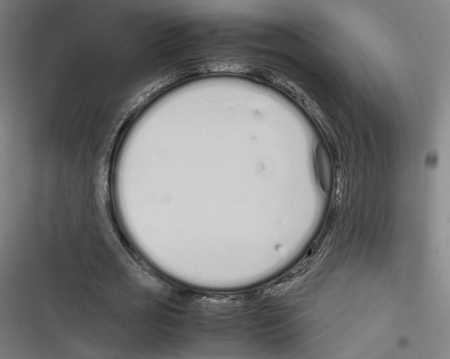 X0000116600725201001081149