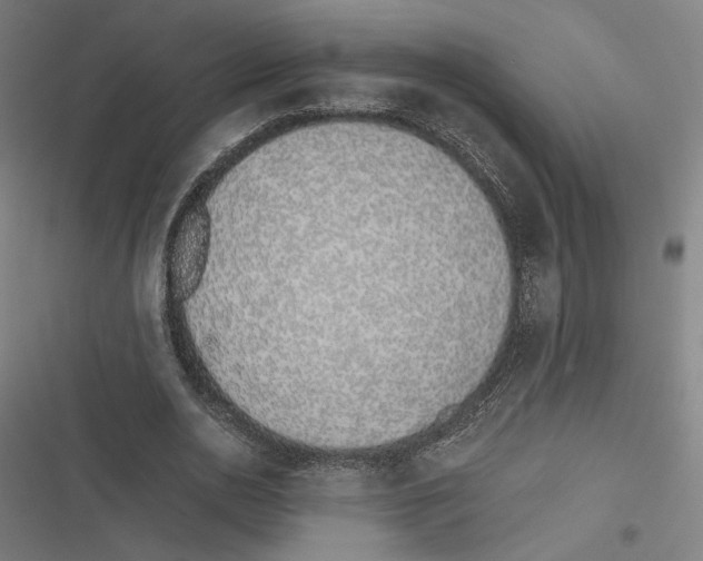 X0000116600726201001081149