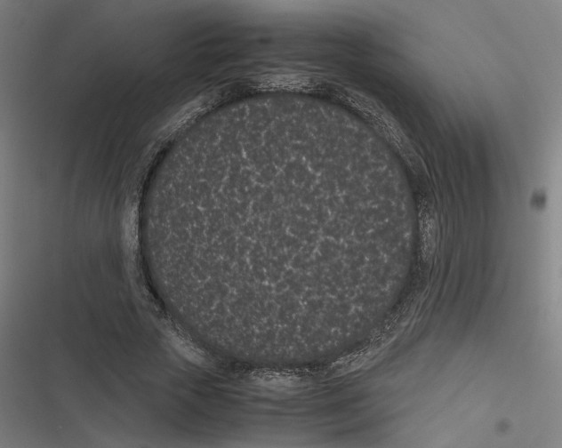 X0000116600729201001081149