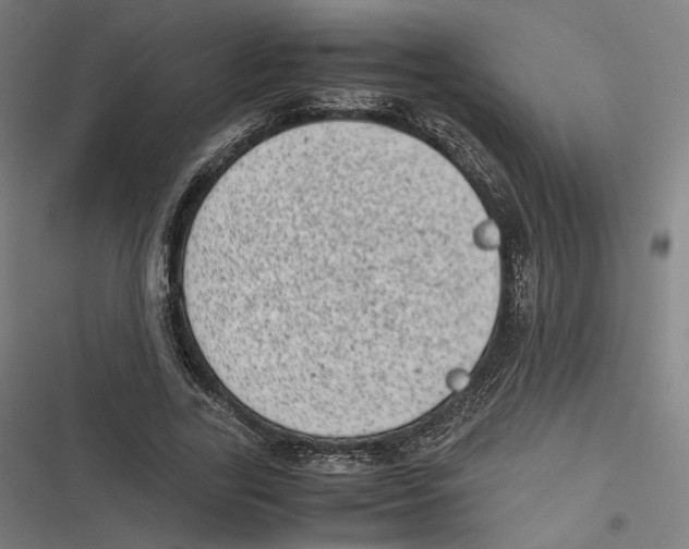 X0000116600731201001081149