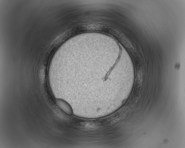 X0000116600733201001081149