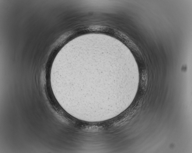 X0000116600734201001081149
