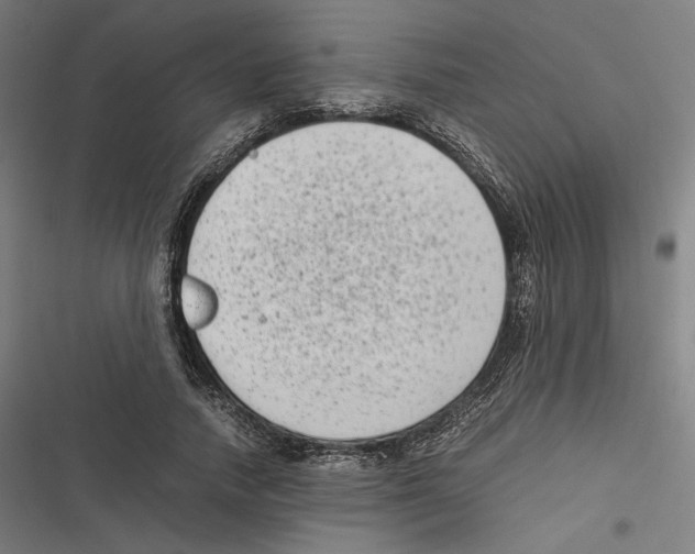 X0000116600738201001081149