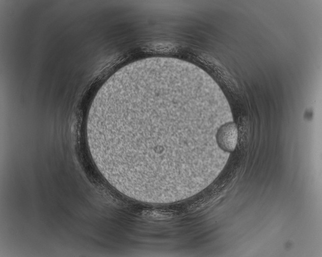 X0000116600739201001081149